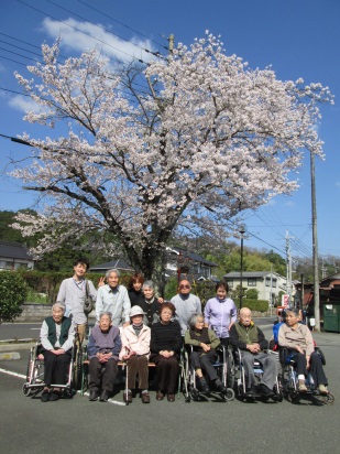 spring_img01