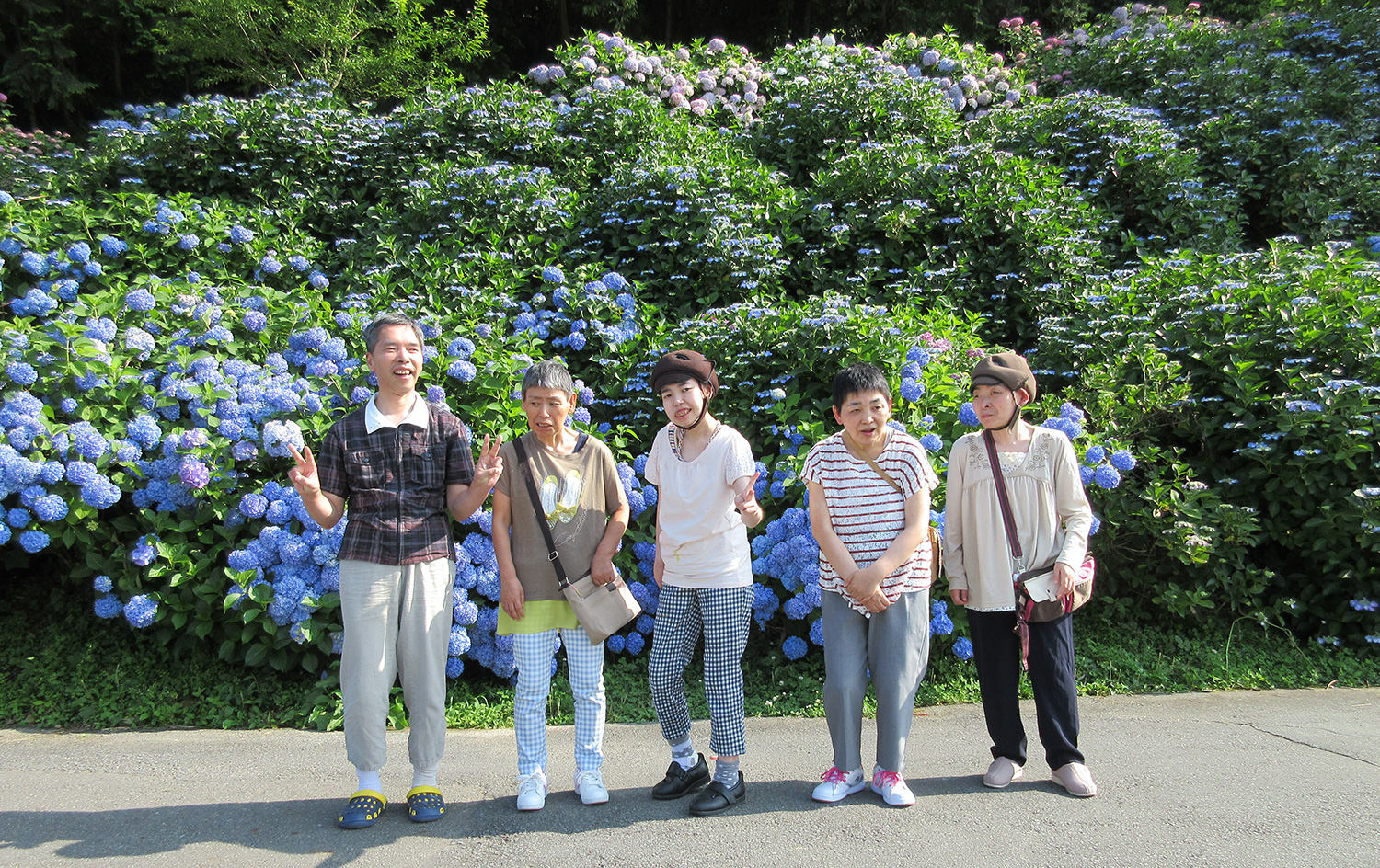 spring_img03