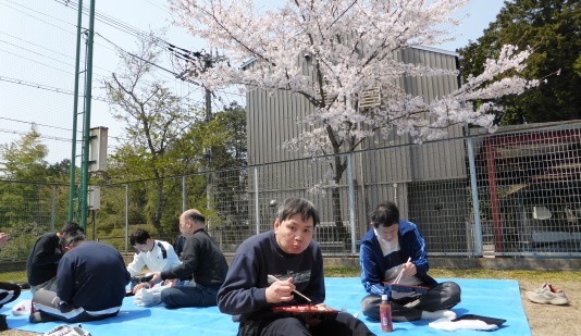 spring_img01