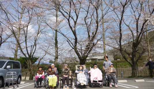 spring_img01